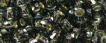 (image for) TOHO 8/o Round Seed Bead-Black Diamond Silver Lined 8T29B