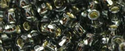 (image for) TOHO 11/o Round-Black Diamond Silver Lined. 11T29B