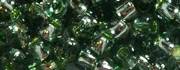 (image for) TOHO 11/o Round-Celery Green Silver Lined. 11T2202