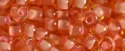 (image for) TOHO 11/o Round-Coral Lined Light Topaz Transparent. 11T925