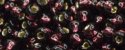 (image for) TOHO 11/o Round-Dark Amethyst Silver Lined. 11T26C