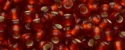 (image for) TOHO 11/o Round-Dark Ruby Silver Lined Matte. 11T25CF