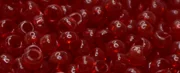 (image for) TOHO Size 8/o Round Seed Bead-Dark Ruby Transparent 8T5C