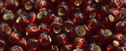 (image for) TOHO 11/o Round-Garnet Silver Lined. 11T25D