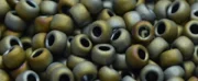 (image for) TOHO 11/o Round-Green-Grey Metallic Matte. 11T613