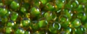(image for) TOHO 11/o Round-Green Lined Topaz Transparent. 11T393