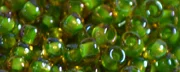 (image for) TOHO 11/o Round-Green Lined Topaz Transparent. 11T393