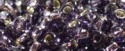 (image for) TOHO 11/o Round-Light Purple Silver Lined. 11T39
