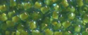 (image for) TOHO 11/o Round-Lime Green Lined Aqua Transparent. 11T307