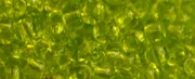 (image for) TOHO 11/o Round-Lime Green Transparent. 11T4