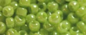 (image for) TOHO 11/o Round-Light Green Opaque Luster. 11T131