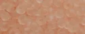 (image for) TOHO 11/o Round-Light Pink Transparent Matte. 11T11F