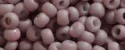 (image for) TOHO 11/o Round-Mauve Chalk Matte Opaque. 11T766
