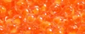 (image for) TOHO 11/o Round-Neon Dark Orange Lined Crystal Transparent. 11T802
