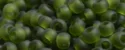 (image for) TOHO 11/o Round-Olivine Transparent Matte. 11T940F