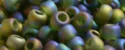 (image for) TOHO 11/o Round-Olivine Transparent Rainbow Matte. 11T180F