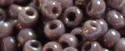 (image for) TOHO 11/o Round-Purple Opaque Rainbow. 11T412