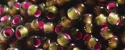 (image for) TOHO 8/o Round Seed Bead-Raspberry Lined Olivine #8T2204