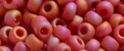 (image for) TOHO 11/o Round-Red Opaque Rainbow Matte. 11T405F