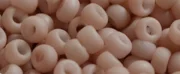(image for) TOHO Size 6/o Round Seed Bead-Rose Chalk Matte Opaque 6T764