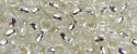 (image for) TOHO 15/o Round Seed Bead-Crystal Silver Lined. 15T21