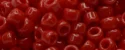 (image for) TOHO 15/o Round Seed Bead-Light Red Opaque. 15T45A