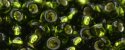 (image for) TOHO 15/o Round Seed Bead-Olivine Silver Lined. 15T37