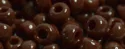 (image for) TOHO Size 6/o Round Seed Bead-Dark Brown Opaque 6T46