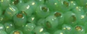 (image for) TOHO Size 6/o Round Seed Bead-Lime Opal Silver Lined 6T2103