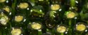 (image for) TOHO Size 6/o Round Seed Bead-Olivine Silver Lined 6T37