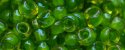 (image for) TOHO 8/o Round Seed Bead-Lime Lined Jonquil Transparent #8T306