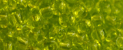TOHO 11/o Round-Lime Green Transparent #11T4