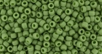 (image for) TOHO 11/o Round Seed Bead. Semi-Glazed Saguaro #11T2603F-250