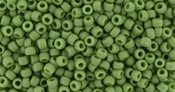 (image for) TOHO 11/o Round Seed Bead. Semi-Glazed Saguaro #11T2603F-250