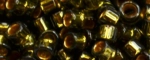 (image for) TOHO Aiko-24k Gold Lined Khaki Transparent TB-759-50