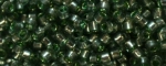 (image for) TOHO Aiko-Celery Green Silver Lined TB-2202-50