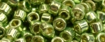 (image for) TOHO Aiko-Lime Galvanized PermaFinish TB-PF560-50