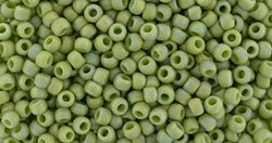(image for) TOHO 11/o Round Seed Bead. Semi-Glazed Rainbow Woodbine # 11T2632F-100