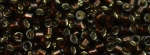 (image for) TOHO Aiko-Rootbeer Silver Lined TB-2205-50