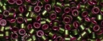 (image for) TOHO Aiko-Raspberry Lined Olivine TB-2204-50