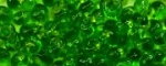(image for) TOHO 4mm Magatama Bead-Dark Green Lined Lime