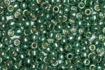 (image for) TOHO 11/o Round Seed Bead-Spruce Galvanized PermaFinish #11TPF589-100