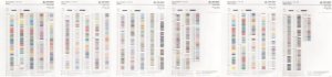 (image for) Toho Sample Card-Expanded 11/o Round Beads