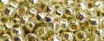 (image for) TOHO Aiko-Silver Galvanized PermaFinish TB-PF558-50